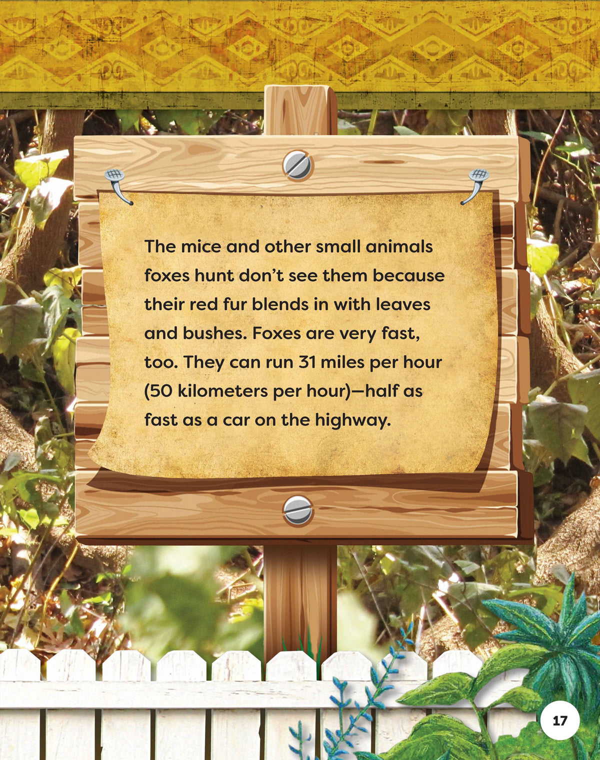 Kids Backyard Safari: Red Foxes