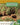 Kids Backyard Safari: Red Foxes