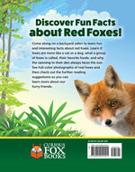 Kids Backyard Safari: Red Foxes