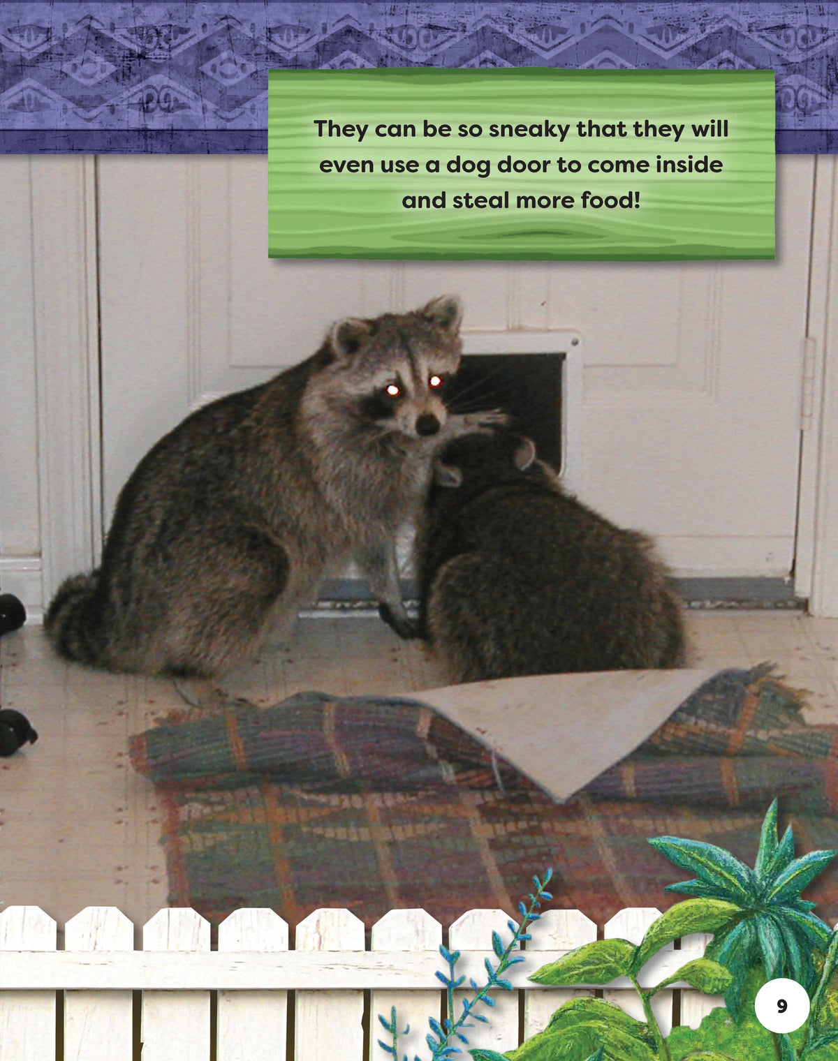 Kids Backyard Safari: Raccoons