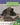 Kids Backyard Safari: Raccoons