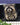 Kids Backyard Safari: Raccoons
