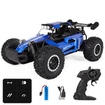 Boy Toy Remote Control Car - Cindi Book