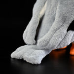 Black-winged Kite Plush Doll - Cindi Book