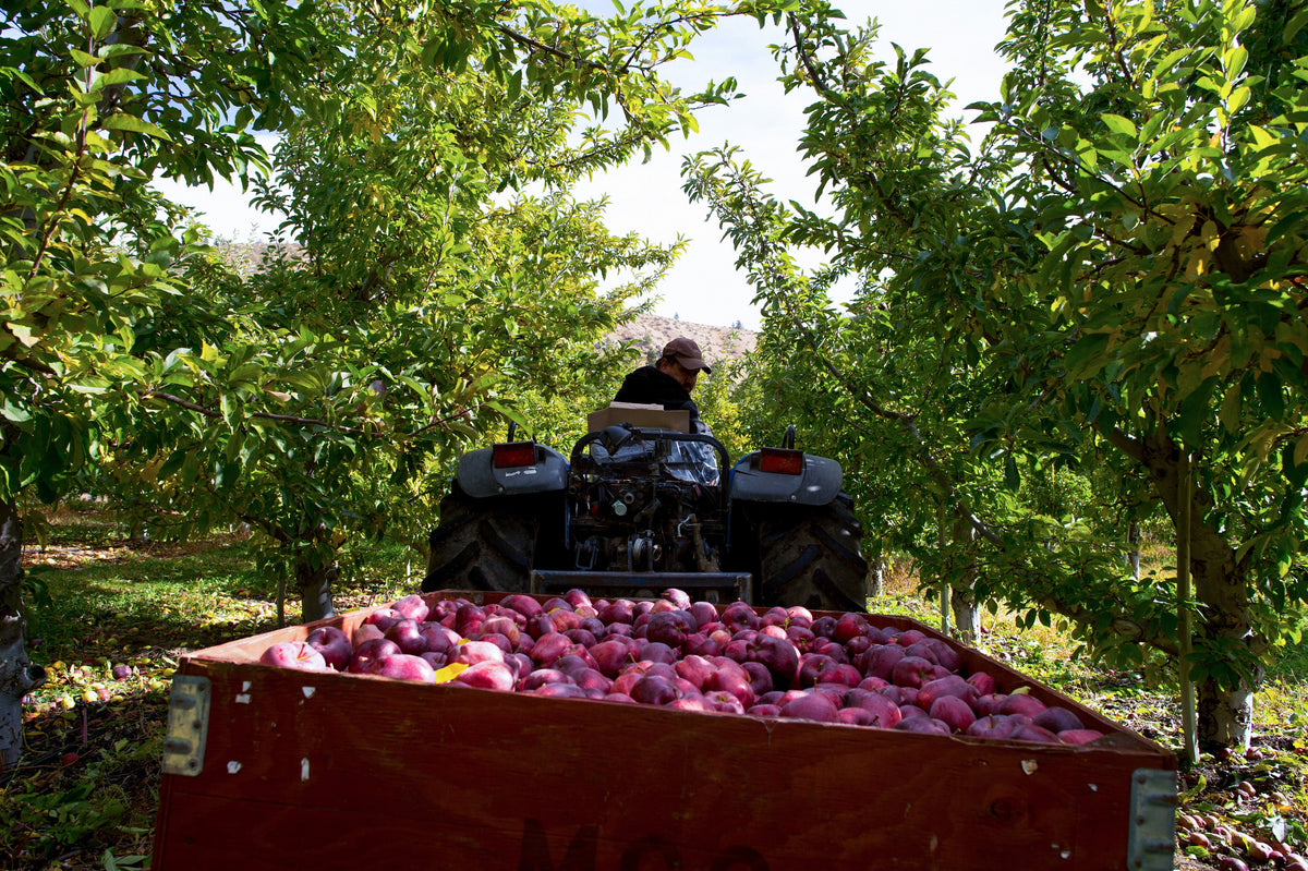 A Year in the Fields: The State of the Washington Farmer - Additional Book View 10