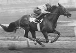 150 Years of the Kentucky Derby - BACKORDER ships 01/30/2026