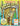 Great Amazon & Rainforest Coloring Book Customized
