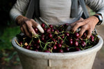 A Year in the Fields: The State of the Washington Farmer - Additional Book View 8