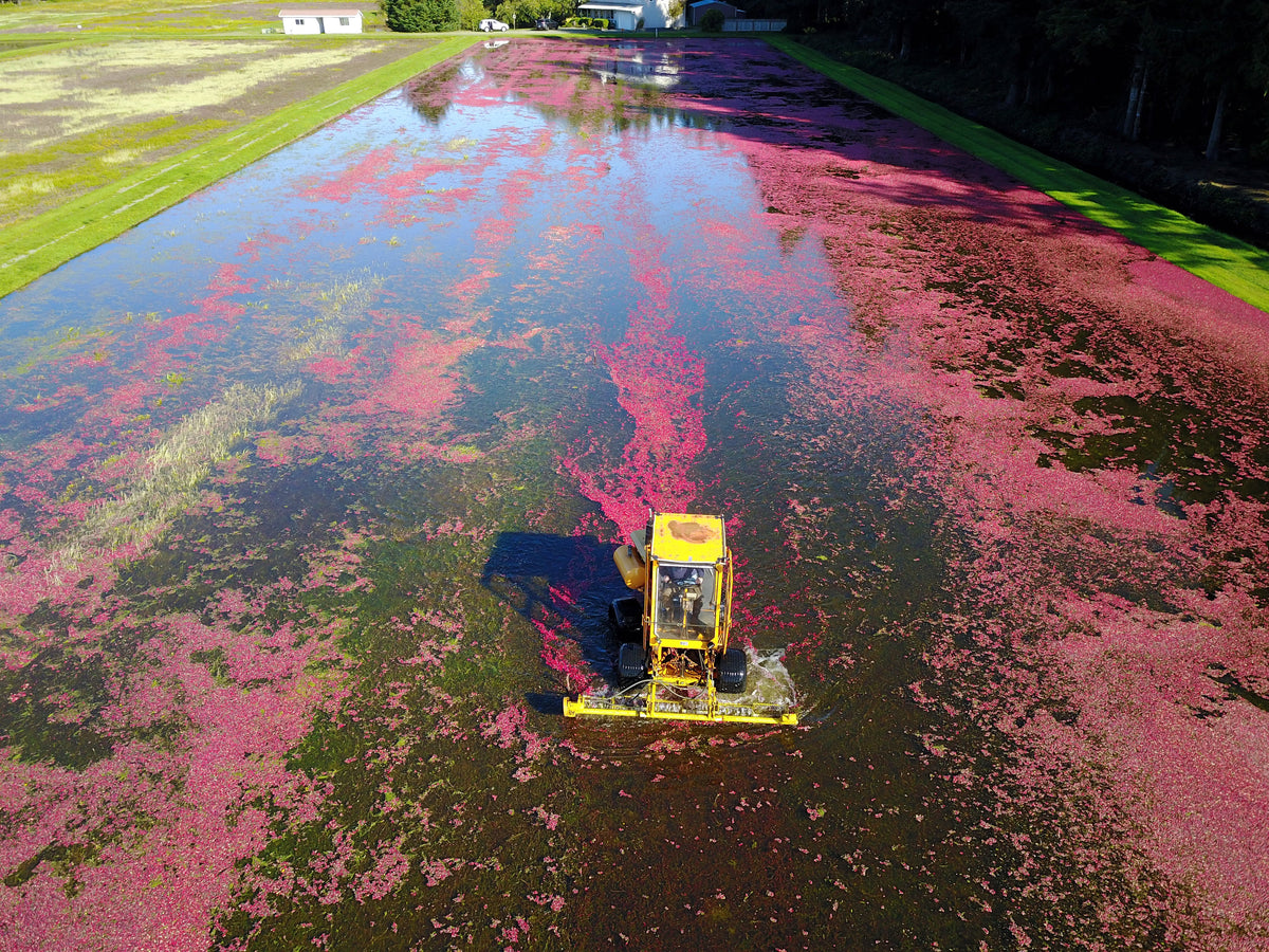 A Year in the Fields: The State of the Washington Farmer - Additional Book View 7