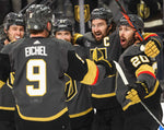 GOLDEN! The Story of the Vegas Golden Knights’ Stanley Cup Season