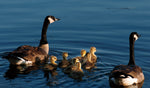 Reflections of: Presque Isle: A Visual Journey - Additional Book View 8