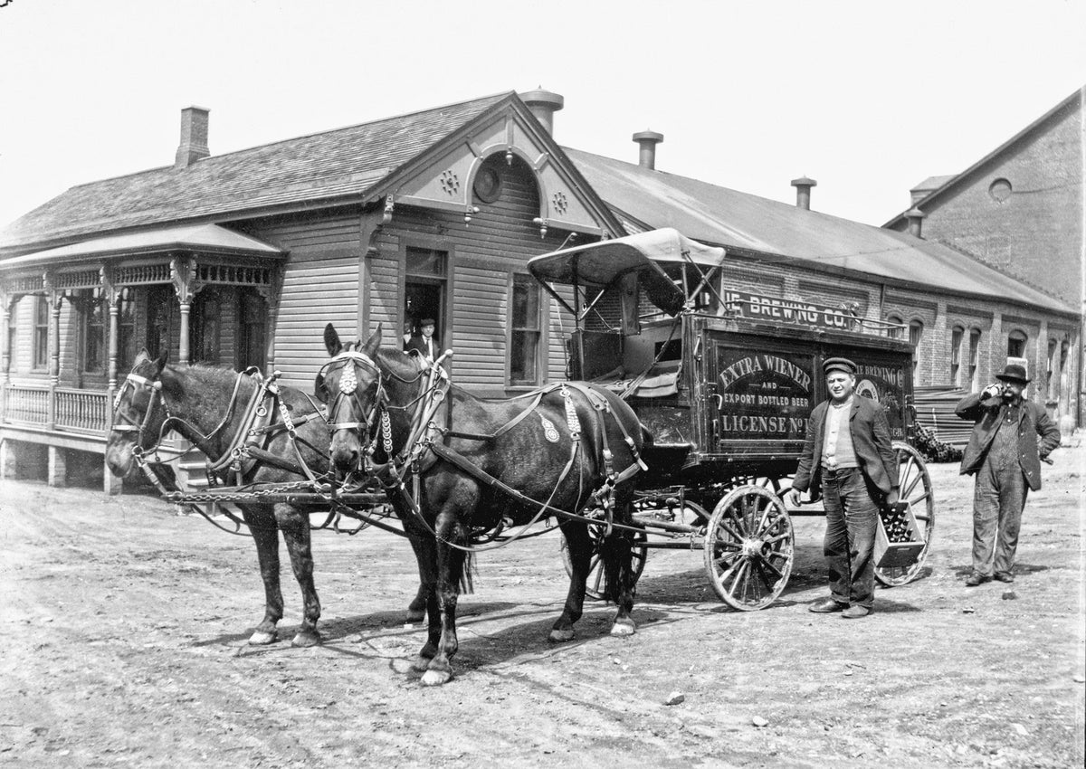 Erie Memories: 125 Years of the Erie Region - Additional Book View 10