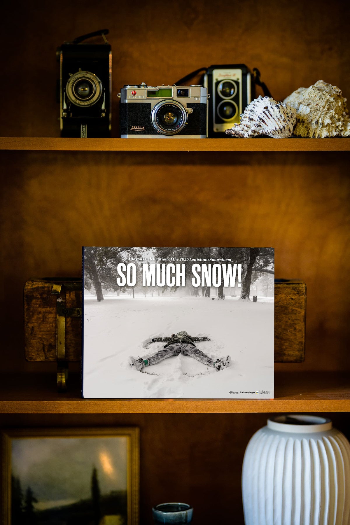 So Much Snow! A Joyous Celebration of the 2025 Louisiana Snowstorm - Additional Book View 3