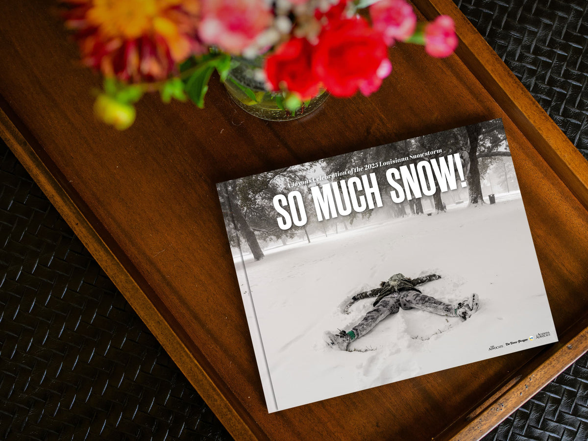 So Much Snow! A Joyous Celebration of the 2025 Louisiana Snowstorm - Additional Book View 6