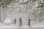 So Much Snow! A Joyous Celebration of the 2025 Louisiana Snowstorm - Additional Book View 7