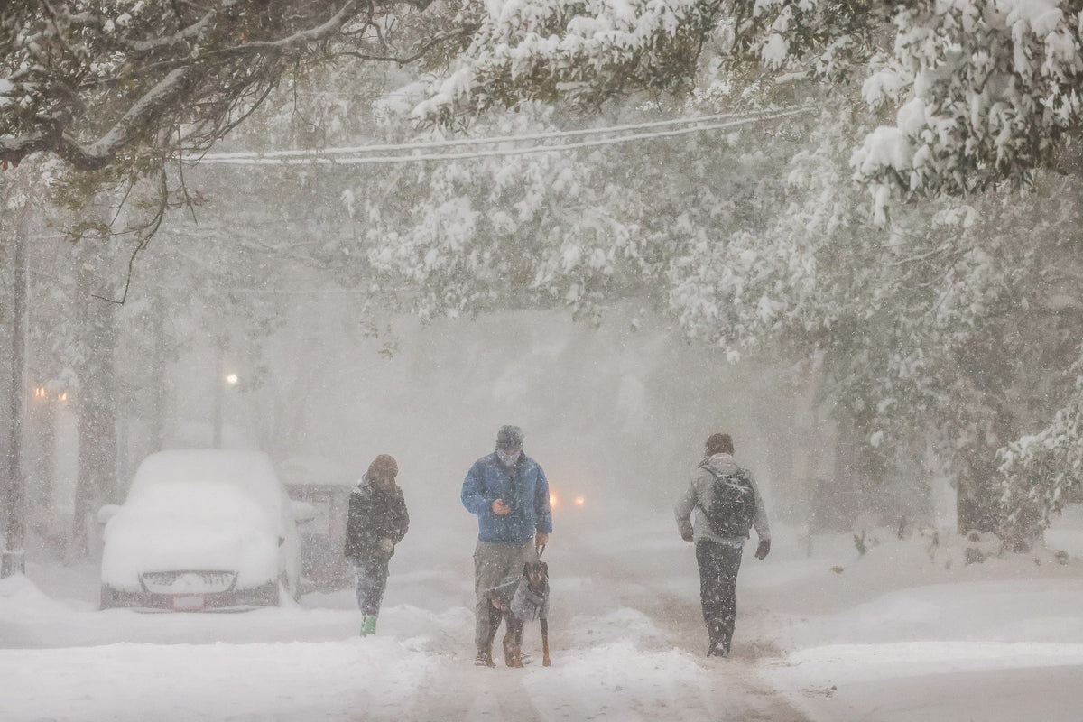 So Much Snow! A Joyous Celebration of the 2025 Louisiana Snowstorm - Additional Book View 7
