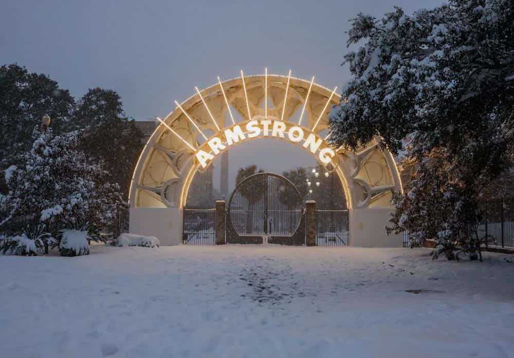 So Much Snow! A Joyous Celebration of the 2025 Louisiana Snowstorm - Additional Book View 11