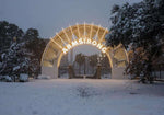 So Much Snow! A Joyous Celebration of the 2025 Louisiana Snowstorm - Additional Book View 11