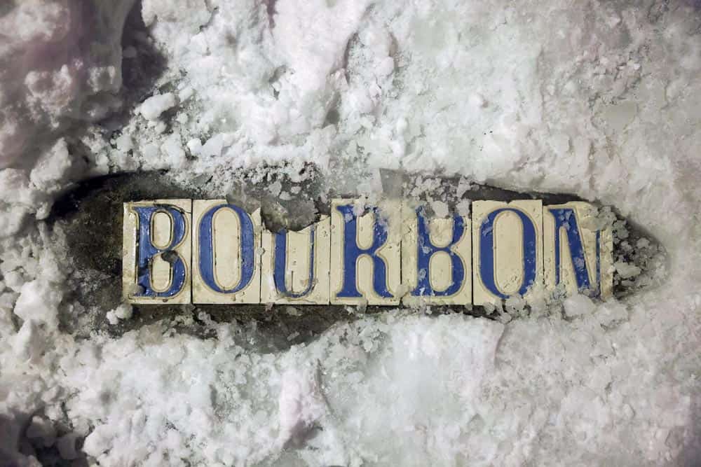 So Much Snow! A Joyous Celebration of the 2025 Louisiana Snowstorm - Additional Book View 12