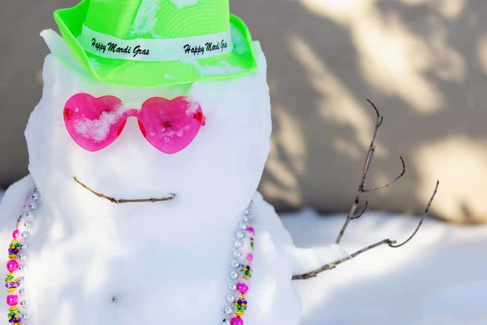 So Much Snow! A Joyous Celebration of the 2025 Louisiana Snowstorm - Additional Book View 14