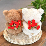 Rose Bouquet Bear Doll Plush Toy - Cindi Book