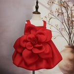 Girls' Oblique Shoulder Flower Mesh Bubble Skirt - Cindi Book