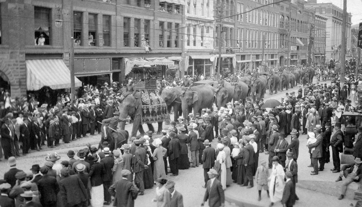 A Pictorial History: Looking Back: Otsego, Delaware, Chenango and Schoharie Counties of Upstate New York - Additional Book View 14