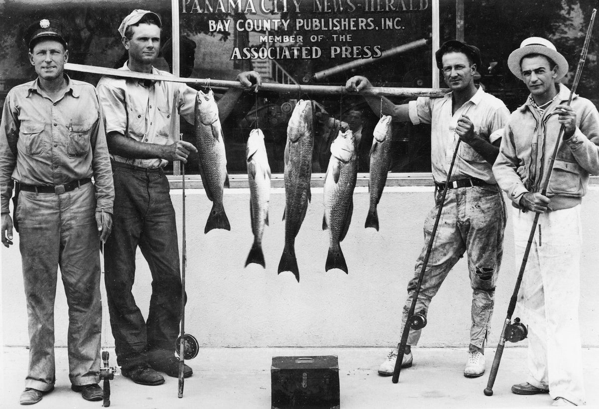 Celebrating Bays Beginning: A Pictorial Retrospective of Bay County, Florida 1900s - 2000s - Additional Book View 2
