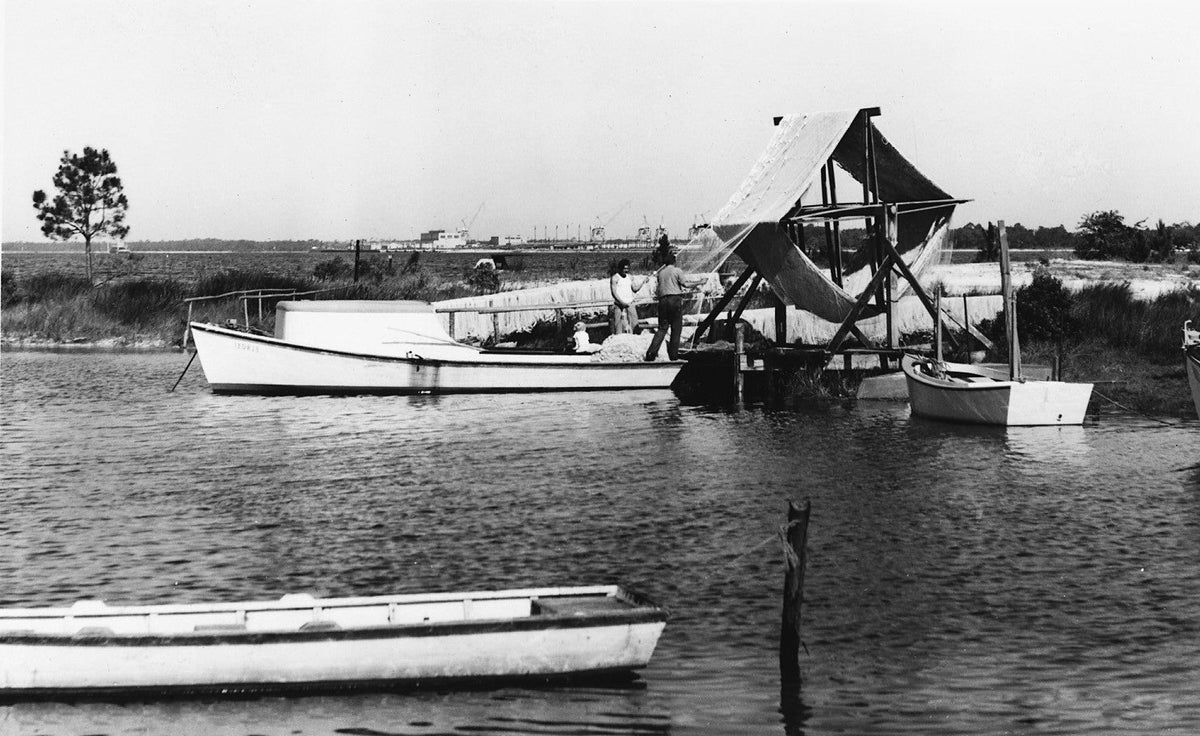 Celebrating Bays Beginning: A Pictorial Retrospective of Bay County, Florida 1900s - 2000s - Additional Book View 4