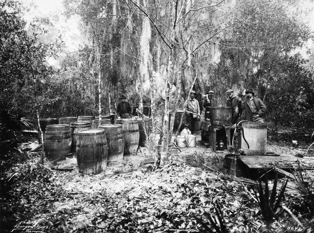 Celebrating Bays Beginning: A Pictorial Retrospective of Bay County, Florida 1900s - 2000s - Additional Book View 7
