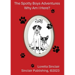 The Spotty Boys Adventures: Why Am I Here? - Paperback
