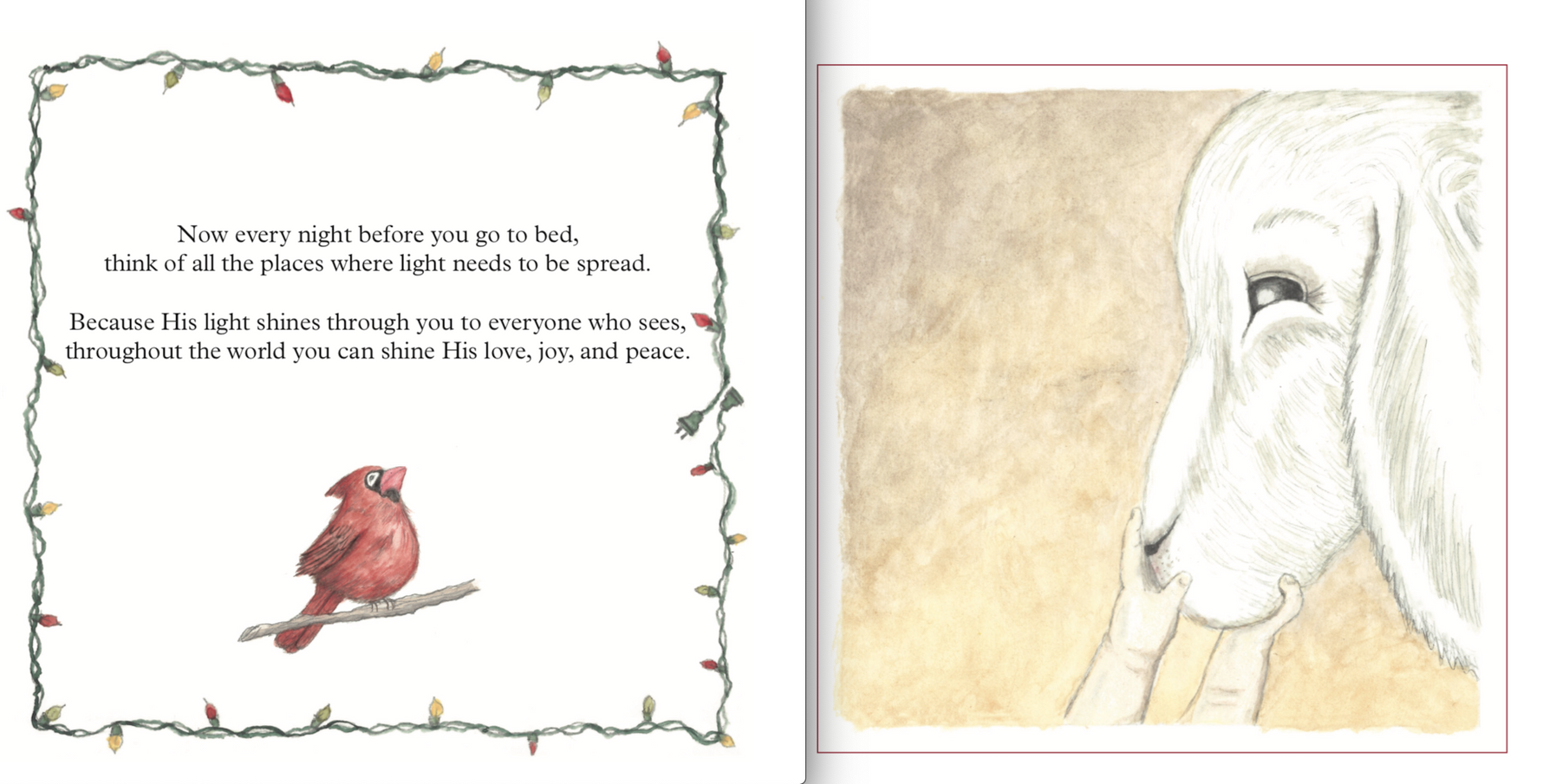 "The True Meaning of Christmas" Book