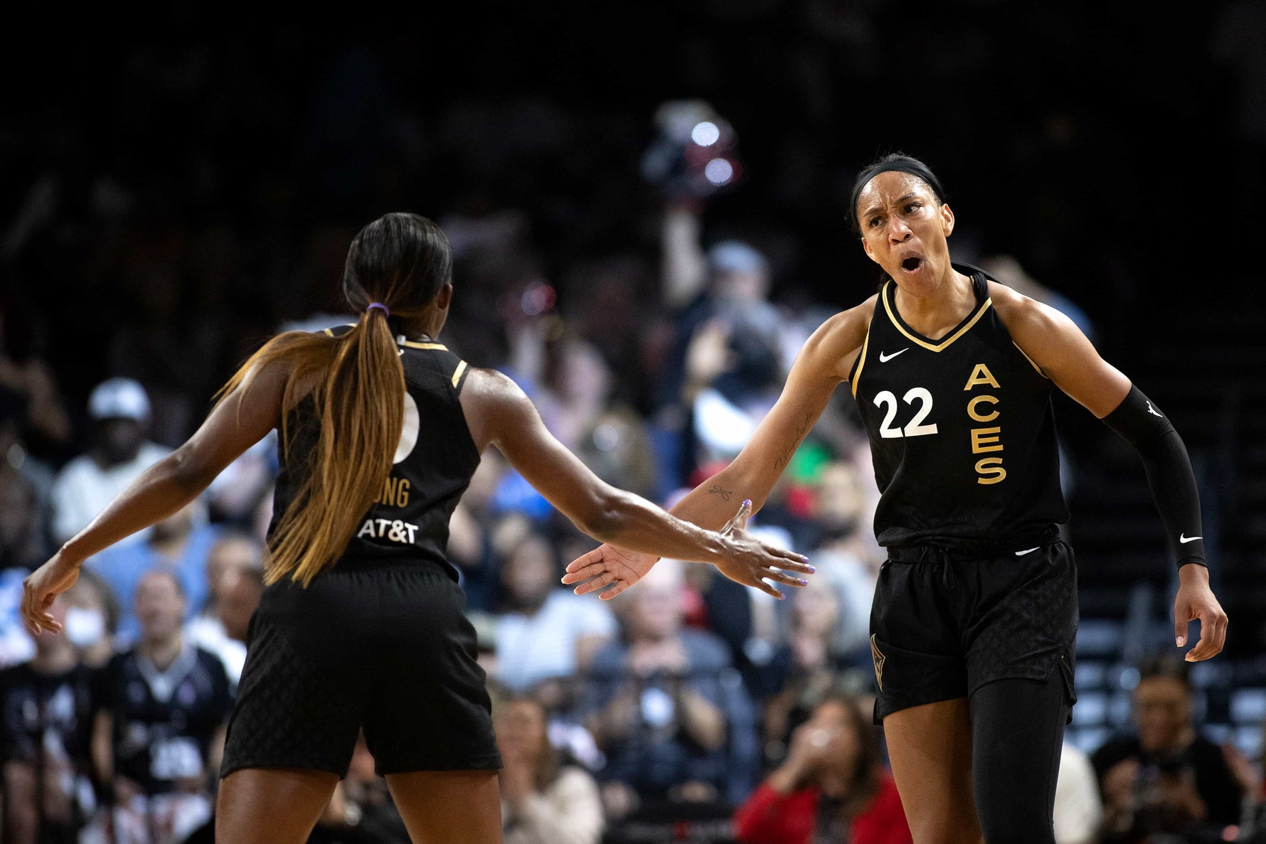 DOUBLE DOWN: How the Las Vegas Aces Won Back-to-Back Championships and Became the Greatest WNBA Team in History