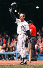 Roar of 125: The Epic History of the Detroit Tigers - BACKORDER ships 01/30/2026
