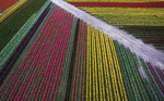 A Year in the Fields: The State of the Washington Farmer - Additional Book View 11
