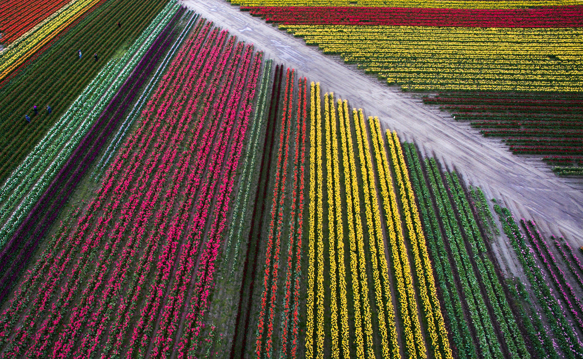 A Year in the Fields: The State of the Washington Farmer - Additional Book View 11