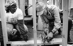 Jimmy Carter: Peanut farmer, 39th President, Humanitarian