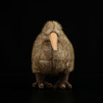 Kiwi Plush Toy New Zealand Juwei Doll - Cindi Book