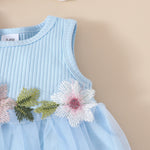 Girls' Sleeveless Short Top Mesh Dress - Cindi Book