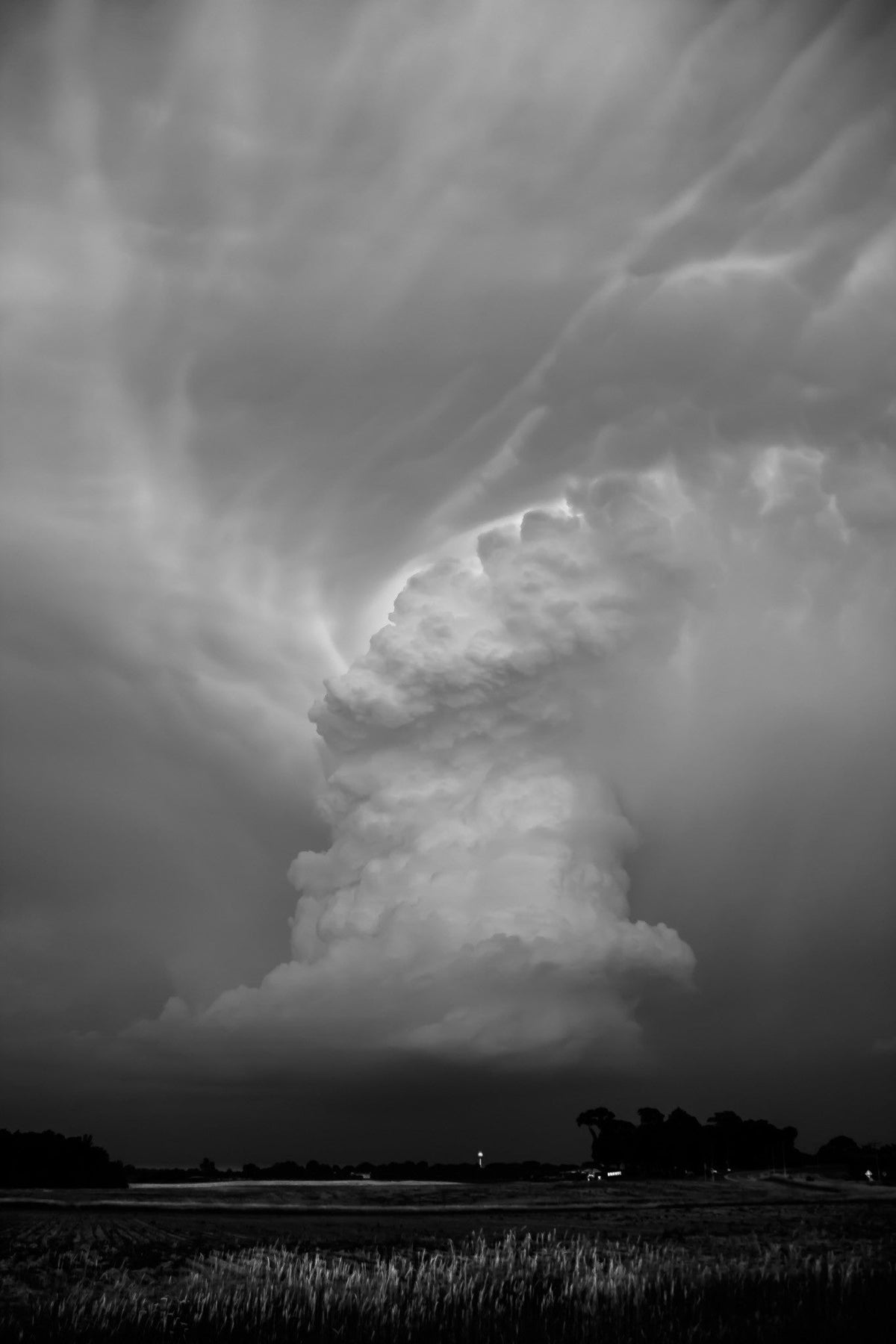Capture Minnesota: Volume IV - Additional Book View 3