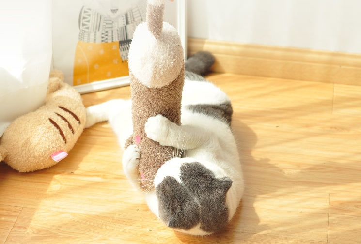 Cat Toy Pillow Shaped Funny Funny Stick Pet Supplies - Cindi Book