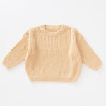 Hot Selling Children's Clothing Pullover Knitting Sweater - Cindi Book