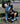 Model U Horse Age 4-7 Black