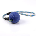 Dog Ball Toy  Bite Resistance Puzzle Training - Cindi Book