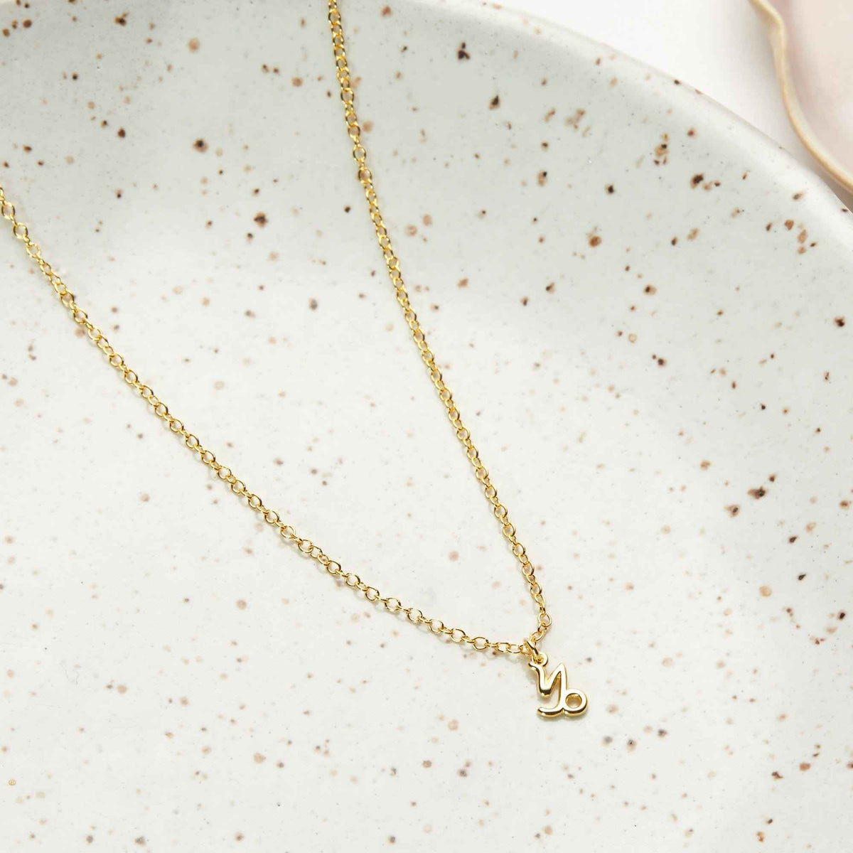 Capricorn Zodiac Deity Necklace