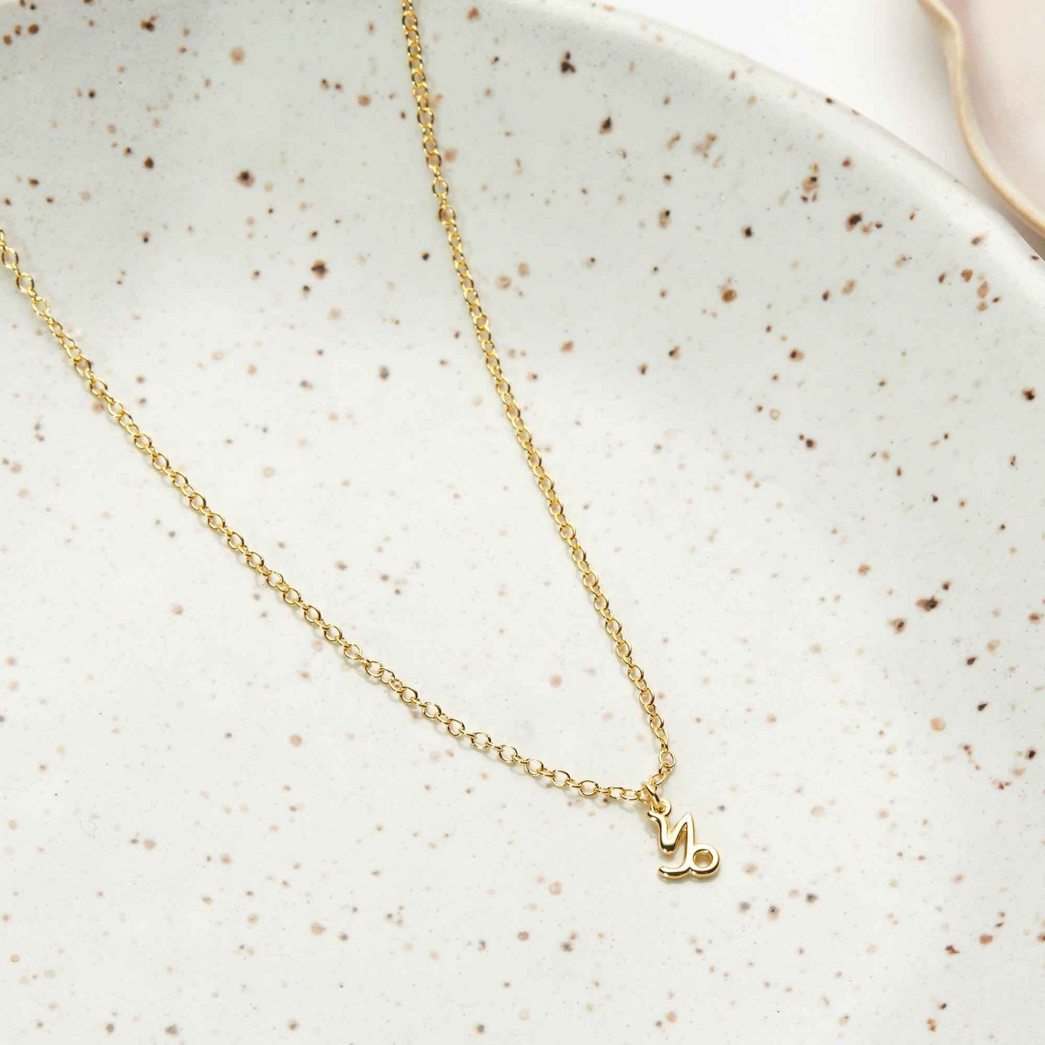 Capricorn Zodiac Deity Necklace