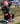 Model U Ride On Horse Toy Age 3-4 Chocolate