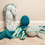 Cleo the Seahorse