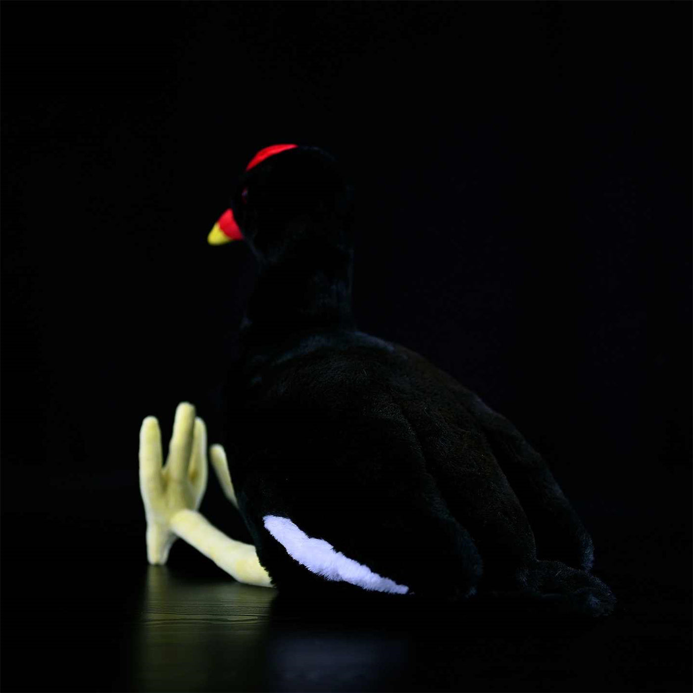 Black Water Chicken Plush Toy Red Bone Top - Cindi Book