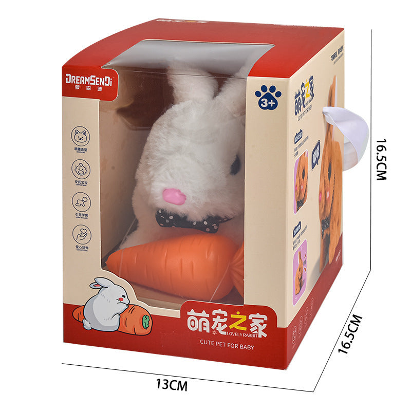 Children's Electric Simulation Plush Pet Teddy - Cindi Book